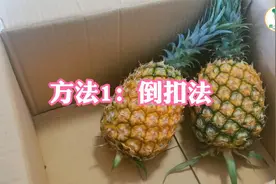 买的菠萝还没熟，分享3个“催熟”妙招，两天就能吃，酸甜鲜脆爽视频封面