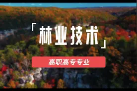 林业技术专业介绍视频封面