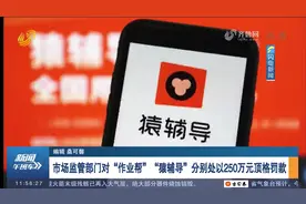 罚款250万元！“作业帮”“猿辅导”两家校外培训机构被顶格处罚视频封面