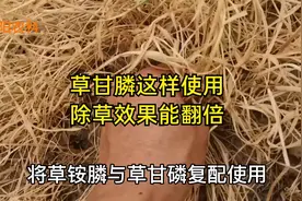 防除秋季恶性杂草，用草甘膦这个配方，除草效果能翻倍除草更干净视频封面