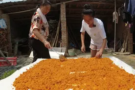 湖北特色“醡胡椒”，辣椒和大米的完美结合，做上一坛可以吃一年视频封面