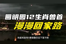 圆明园12生肖兽首回家路，7个已归队，还有5个在哪呢？视频封面