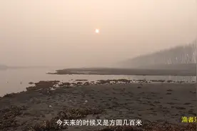 就是这种老头乐钓法，专治鱼不开口，台钓高手也要被轻松拿捏