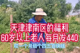 天津津南区60岁以上老人还能补助400多，这样的好事你们了解吗？视频封面
