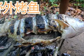 几十斤的一条大鲤鱼，不去鱼鳞直接上架烤，里面的肉依旧鲜嫩无比视频封面