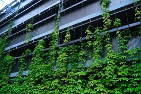“双碳”目标 你我创造：绿色建筑实现节能降碳视频封面