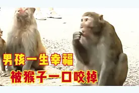 男孩去公园上厕所，被猴子咬伤毁掉后半生，负责人：这不怪我们！视频封面