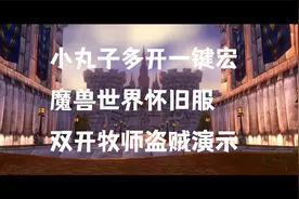 小丸子多开一键宏魔兽世界怀旧服双开牧师盗贼演示