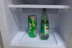 小伙好奇心大，把白酒跟啤酒放到冰箱冷冻一晚上，会变成冰块吗？