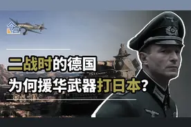 二战时“中德贸易”引发日本抗议，德国为何愿意支援我们抗日？视频封面