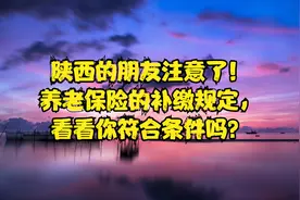 陕西的朋友注意了！养老保险的补缴规定，看看你符合条件吗？视频封面