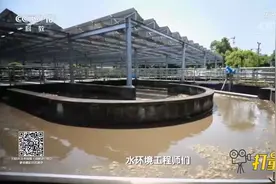 水环境治理要注重生态修复的方式，尽量减少人工干预|创新进行时视频封面