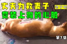 丈夫为救妻子，竟装上狗狗的心脏，妻子成功复活视频封面
