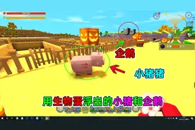 迷你世界33：我从仓库提取生物蛋，成功孵化了几只企鹅，还有猪，
