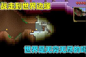 泰拉瑞亚：挑战走到世界边缘！汉堡一路闯关，最后却被湖水淹了视频封面