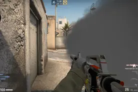 火连原声视频 CSGO5e天梯排位日记p12（还是沙漠2适合我）视频封面