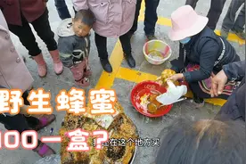 云南边境小镇，赶集日出售的野生蜂蜜值得买吗？大家来辩辩真假！视频封面