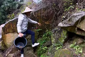 诱蜂:王小福教你精准位置，百分百来蜜蜂。视频封面