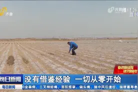 在盐碱地里种出土豆有多牛？一切从零开始，万中选六亩产达1.7吨视频封面