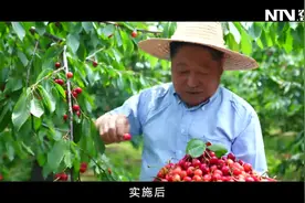 乡村振兴促进法实施的主要意义