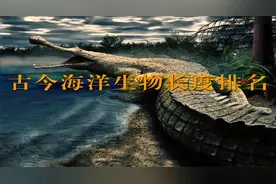 古今海洋生物长度排名