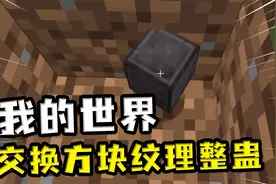 我的世界：交换方块纹理整蛊，下界合金块实际上是泥土