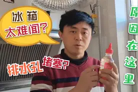 今天才知道，冰箱后面有个小机关，每月清洗一次，轻松祛除异味！视频封面