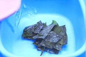 干海带难泡发？水产贩子教我秘诀，15分钟泡软肉厚无腥味，快学学视频封面