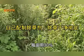 自己配制除草剂，除草干净彻底，价格便宜视频封面
