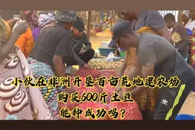 小伙在非洲开垦百亩荒地建农场，购买600斤土豆，能种成功吗？视频封面