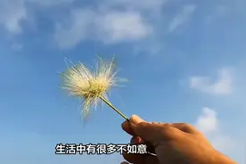 只有想开、看开，才会真正地放开，迎来更加美好的未来