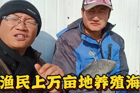 渔民上万亩地养殖海参，一年收入好几亿，除去人工每月2万块值吗视频封面