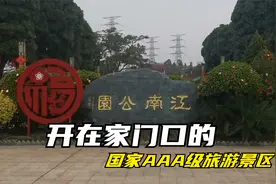 探老南宁几十年工业辉煌变迁，飞燕牌万力啤桂花表你还记得几个？视频封面