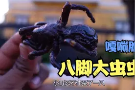 人之所以能站在食物链的顶端...