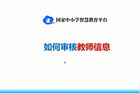 国家中小学智慧教育平台如何审核教师信息