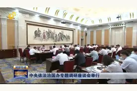 加快建设法治山东、法治社会！中央依法治国办专题调研座谈会举行视频封面