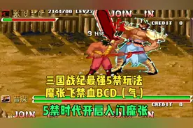 三国战纪119天王魔张飞禁血禁气BCD一币通用教程5禁时代已经开启