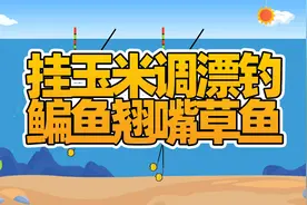 挂玉米调漂教程，钓鳊鱼翘嘴草鱼，钓底钓浮一次搞定视频封面