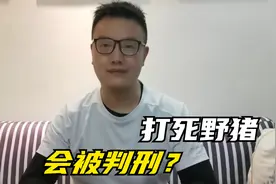 野猪毁了庄稼，我把它打死了，会被判刑吗视频封面