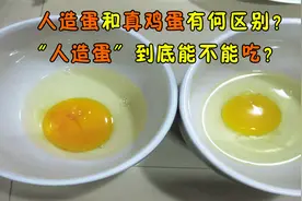 人造蛋和真鸡蛋有何区别？“人造蛋”到底能不能吃？真是长见识了视频封面