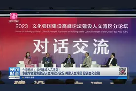 专家学者聚焦建设人文湾区分论坛 共建人文湾区 促进文化交融视频封面