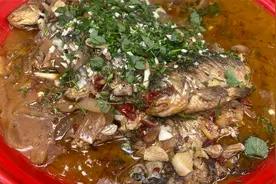 杰哥私房菜——今天做个“酸萝卜烧鲫鱼”，鲜味十足，太好吃了