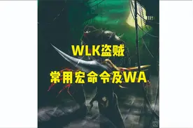 WLK盗贼宏命令、WA分享 #魔兽世界wlk  #游戏日常视频封面