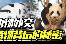 动物外交：什么情况下国家之间会赠送国宝？视频封面