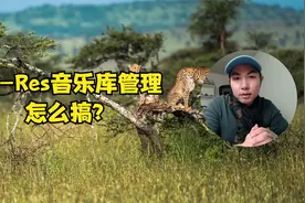 Hi-Res音乐库管理及跨设备音乐分享管理流程视频封面