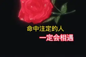 你始终要相信，命中注定的人，一定会相遇的！视频封面