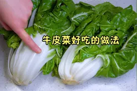春天吃肉不如吃牛皮菜，教你四川家常做法，鲜香入味，简单好吃视频封面