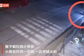 “猴哥”下山寻食  追着小男孩直挠视频封面