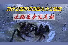 为什么老外说中国人什么都吃，这就是事实真相视频封面
