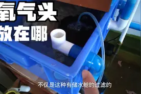 氧气泵必须配置？放主缸还是过滤？不是话题的话题，今视频有些水